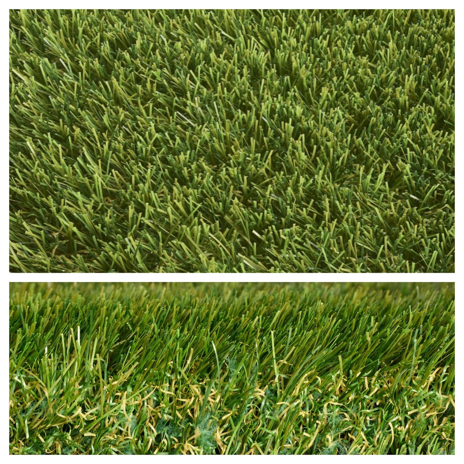 Senna artificial grass