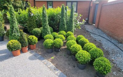 Low-Maintenance Garden Design Ideas for Busy Homeowners
