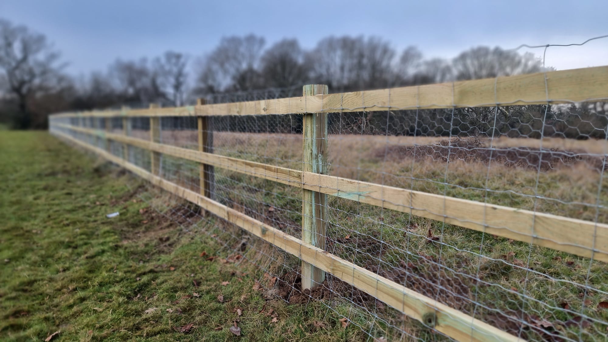 wooden fencing