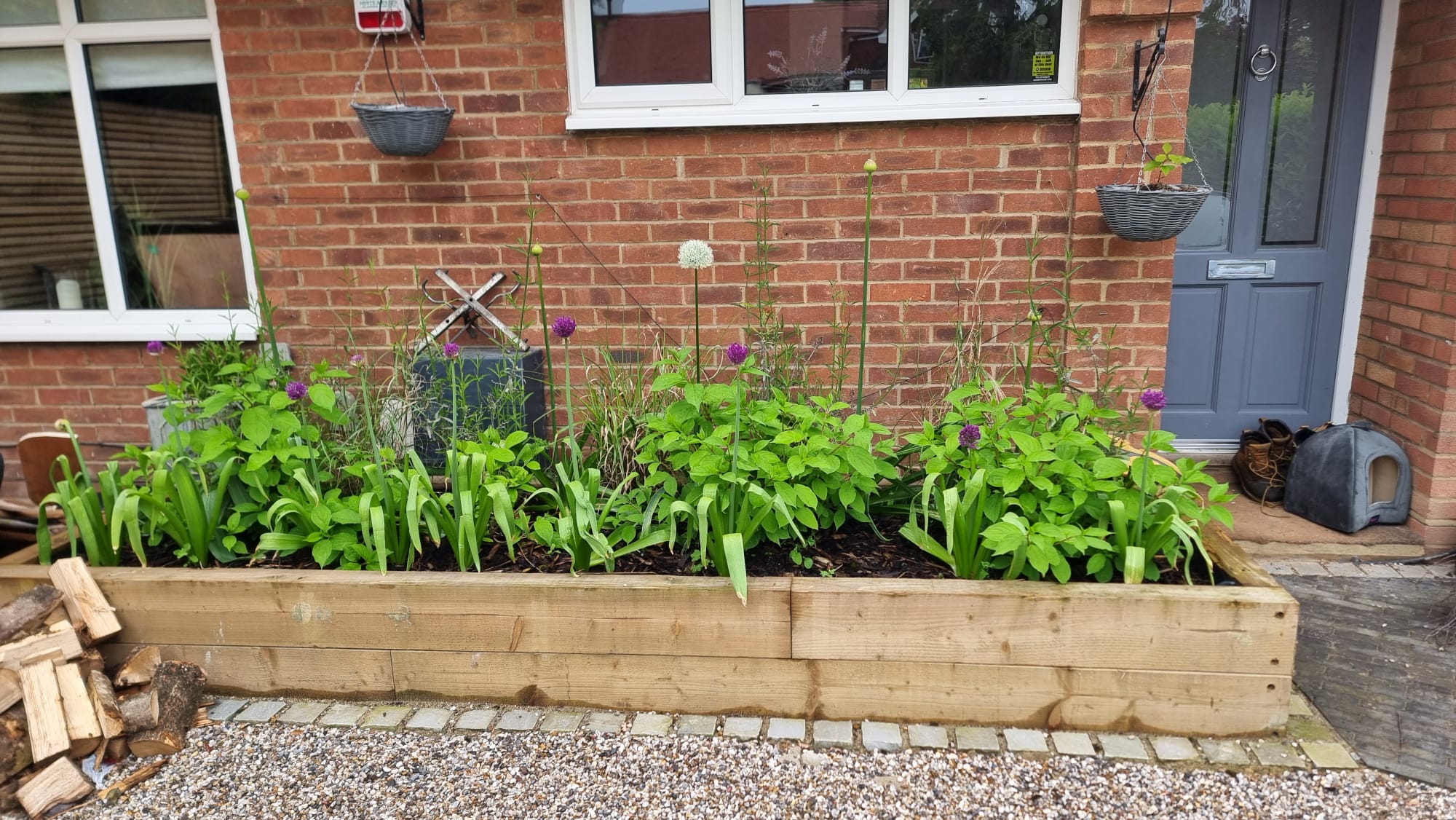 Raised beds with wooden sleepers